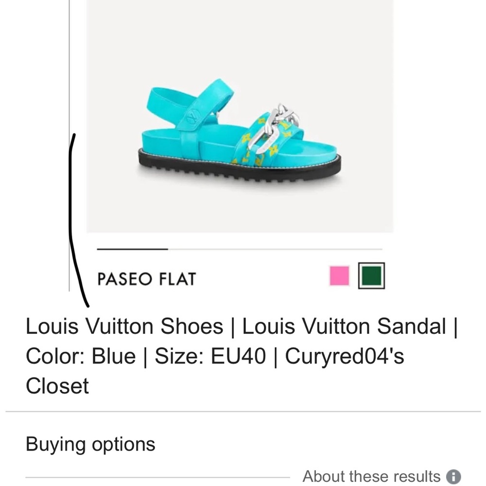 These are blue stylish LV sandals